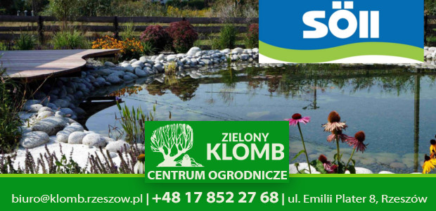 Preparaty na glony w oczku wodnym